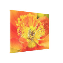 Pavot d'Islande Impressions Sur Toile