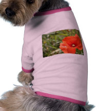Pavot Manteaux Pour Chien