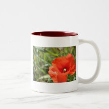 Pavot Tasses