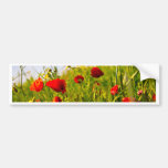 Pavots Adhésifs Pour Voiture
