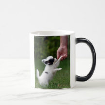 Paw in hand mugs