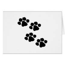 Paw Prints Greeting Card