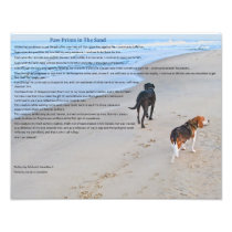 Paw Prints in The Sand 14" x 11"  Print Art Photo