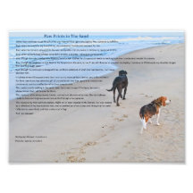 Paw Prints in The Sand 8.79" x 6.59"  Print Photo Art