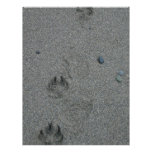 Paw Prints in the Sand Letterhead Template