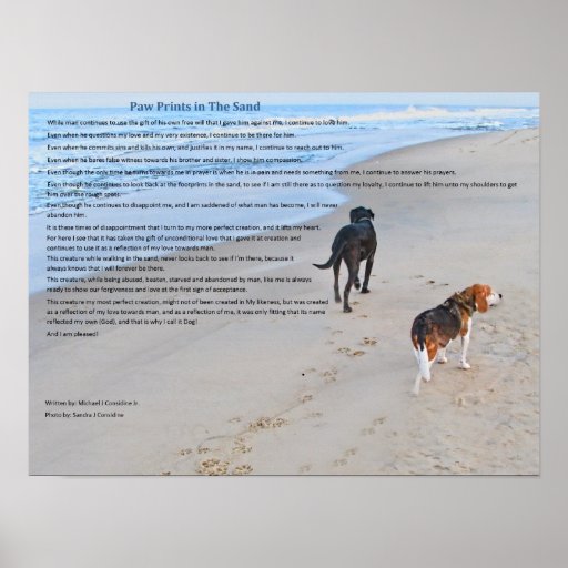 Paw Prints in The Sand Poster Zazzle