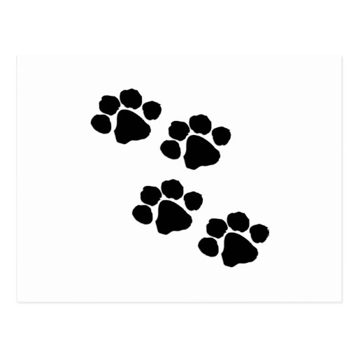 Paw Prints Post Card