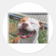 Paw Prints Round Stickers