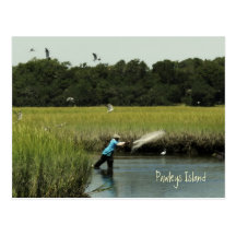 Pawleys Island Fishing Postcard