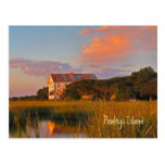 Pawleys Island Pelican Inn Postcard