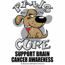 Paws for the Cure Dog Brain Cancer