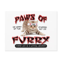 Paws Of Furry