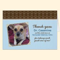 Paws Thank You Card for the Vet (baby blue/brown) cards