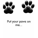 PAWS t-shirts