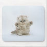 Paws up mouse mat