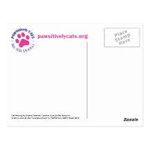 PAWSitively CATS Cat Painting Postcard
