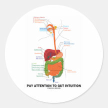 Pay Attention To Gut Intuition (Digestive System) Round Sticker
