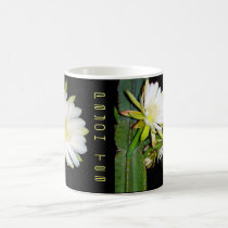 "PayOh Tea" mugs