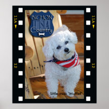 Pays de Bichon avec le cadre négatif, peu de coup  Posters