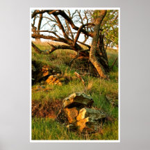 PAYSAGE DE CHUTE AVEC DES ARBRES ET DES ROCHERS POSTERS