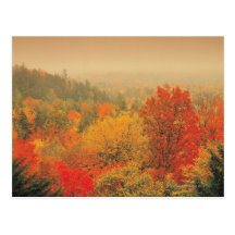 Paysage de chute, New Hampshire, Etats-Unis Cartes Postales