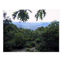 Paysage de forêt carte postale