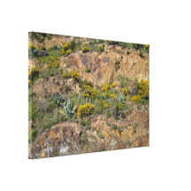 Paysage de montagne rocheuse avec des buissons toile tendue