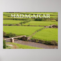 Paysage de rizières à Madagascar Affiche