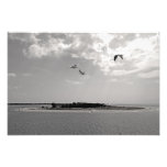 paysage marin photo sur toile