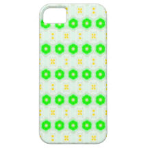 PDES09 iPhone 5 CASES