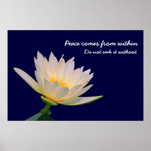 Peace Comes from Within Poster