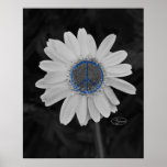 peace daisy posters