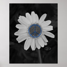 peace daisy posters