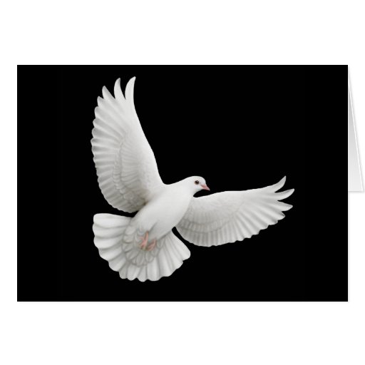 Peace Dove Greeting Card