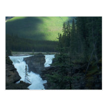 Peace in the Rockies Postcard