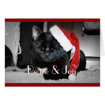 Peace & Joy Cat Greeting Cards
