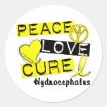 Peace Love Cure Hydrocephalus Stickers