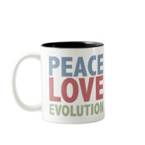 Peace Love Evolution Mug