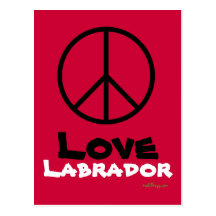 Peace Love Labrador Postcard