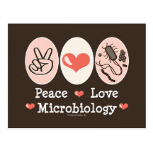 Peace Love Microbiology Postcard