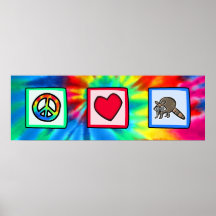 Peace, Love, Raccoons Posters