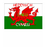Peace, Love, Wales T-shirts