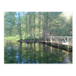 Peace Matters Post Card