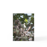 Peace Note Card