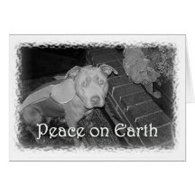 Peace on Earth Christmas card (Pit Bull)