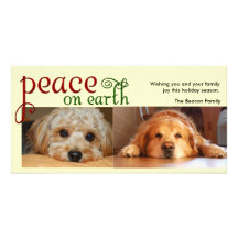 Peace on earth photo cards