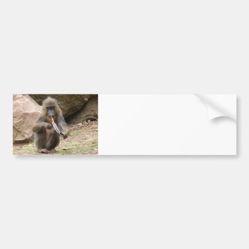 Peace pipe bumper sticker