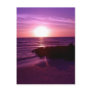 Peace Post Card