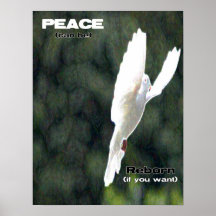 Peace Reborn Poster