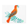 Peace Red Bird Postcards